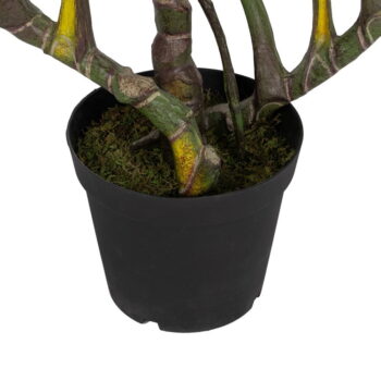 Umelá rastlina (výška 185 cm) Alocasia – Ixia - Image 5