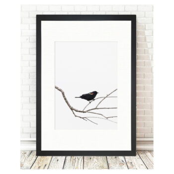Plagát 24x29 cm Bird on the Branch - Tablo Center - Image 2