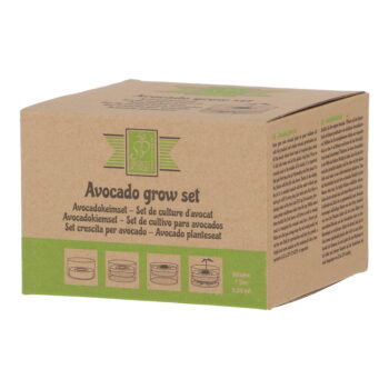 Sklenená klíčiaca miska ø 14 cm Avocado – Esschert Design - Image 5