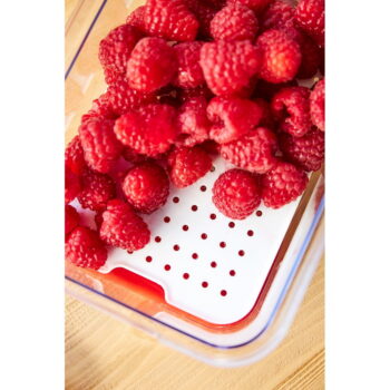 Plastový organizér do chladničky Cauma – Rotho – Obrázok 6