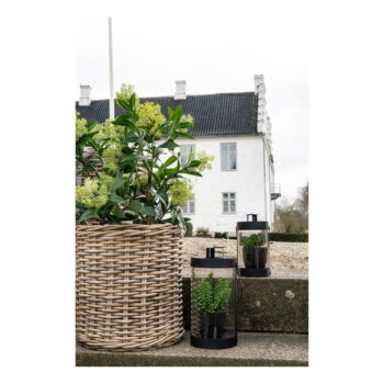 Umelá rastlina Skimmia – House Nordic - Image 5