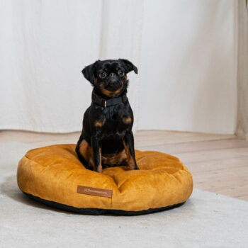 Žltý matrac pre psa ø 50 cm Coco S – Rexproduct - Image 3