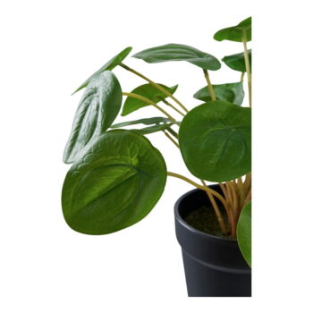 Umelá rastlina (výška 28 cm) Pelia – House Nordic - Image 5