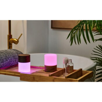 Stmievateľná stolová lampa v prírodnej farbe so skleneným tienidlom (výška 10,5 cm) Lemelia - Gingko – Obrázok 4