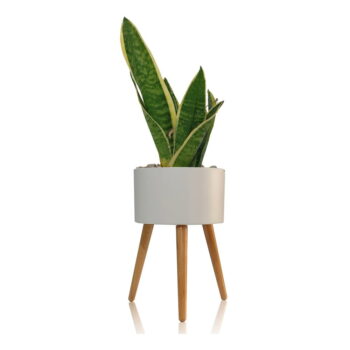 Biely samozavlažovací kvetináč Tomasucci Calla, ø 33 cm - Image 2