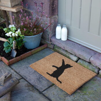 Rohožka z kokosového vlákna 40x60 cm Cat – Artsy Doormats - Image 6