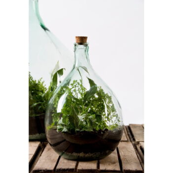 Sklenené rastlinné terárium s nástrojmi na pestovanie Esschert Design, 15 l - Image 5