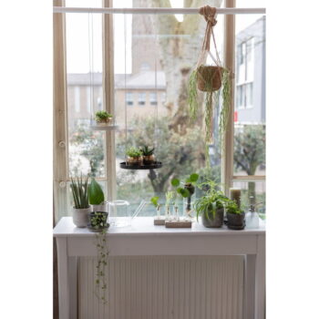 Sklenená kanvička na kvetiny Esschert Design Clear, 1,5 l - Image 3