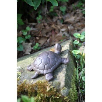 Kovová záhradná soška Turtle – Esschert Design - Image 2