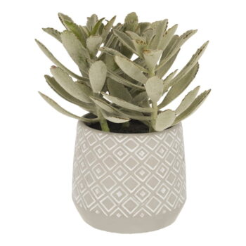 Umelý sukulent (výška  23 cm) Kalanchoe Tomentosa – Kave Home