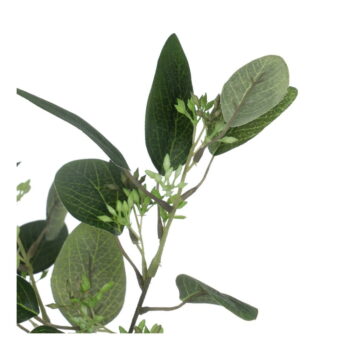 Umelý eukalyptus (výška 59 cm) – Ixia – Obrázok 3