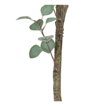 Umelý eukalyptus (výška 180 cm) Eucalyptus – Ixia - Image 5