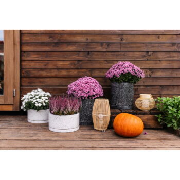 Tmavosivý kvetináč Bonami Selection Terrazzo, ø 34 cm – Obrázok 4