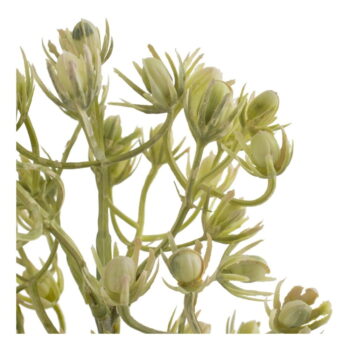 Umelá vetvička (výška 55 cm) – Ixia – Obrázok 2