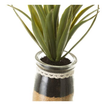 Umelé rastliny v súprave 4 ks (výška  18 cm) Cactus – Casa Selección - Image 3