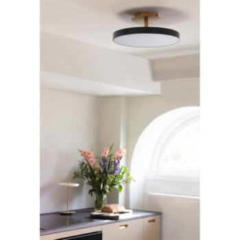 Antracitovosivé LED stropné svietidlo ø 43 cm Asteria Up – UMAGE - Image 2