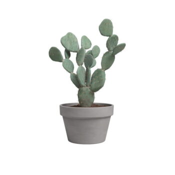 Kvetináč z terakoty ø 21 cm Amalia – Artevasi - Image 2