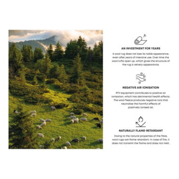 Krémovobiely vlnený koberec 200x300 cm Calisia M Grid Prime – Agnella – Obrázok 5