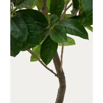 Umelý fikus (výška 210 cm) Ficus – Kave Home – Obrázok 3
