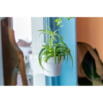 Plastové závesné a nástenné  kvetináče v súprave 2 ks ø 13 cm – Esschert Design – Obrázok 7