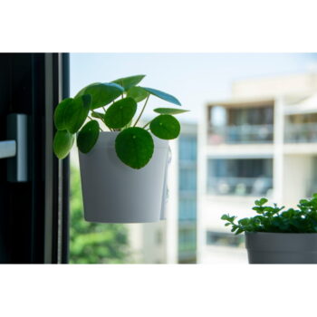 Plastové závesné a nástenné  kvetináče v súprave 2 ks ø 13 cm – Esschert Design – Obrázok 6