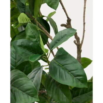 Umelý fikus (výška 210 cm) Ficus – Kave Home – Obrázok 2