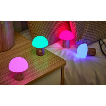 LED stolová lampa z jaseňového dreva so stmievačom v prírodnej farbe (výška  7 cm) Alice – Gingko – Obrázok 3