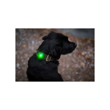 LED svetlo na obojok Green – Orbiloc - Image 8