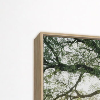 Obraz 150x60 cm Tree in the Sun - Image 4