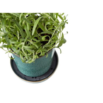 Kameninový obal na kvetináč ø 10 cm – Bitz - Image 3