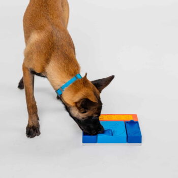 Hlavolam pre psov Puppy Set – Pawzler - Image 6