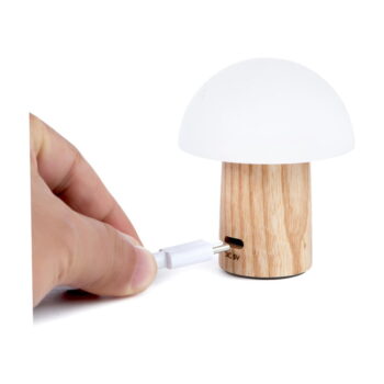 LED stolová lampa z jaseňového dreva so stmievačom v prírodnej farbe (výška  7 cm) Alice – Gingko – Obrázok 6
