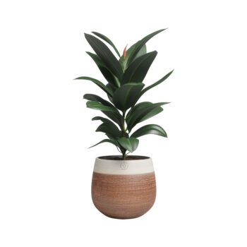 Keramický ručne vyrobený kvetináč ø 20 cm Antheia – Artevasi – Obrázok 6