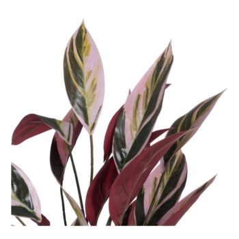 Umelá rastlina (výška 55 cm) Bird of Paradise – Ixia - Image 2