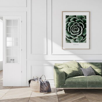 Plagát v ráme 50x70 cm Echeveria - Styler – Obrázok 2