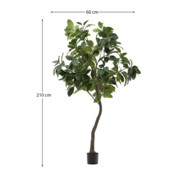 Umelý fikus (výška 210 cm) Ficus – Kave Home – Obrázok 5