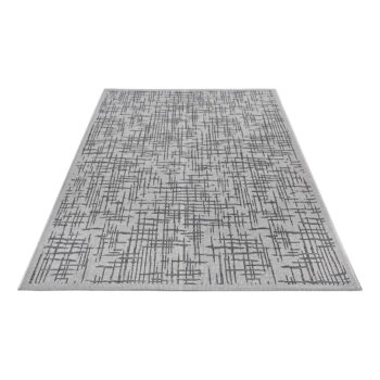 Sivý vonkajší koberec 115x170 cm Clyde Telu – Hanse Home - Image 6