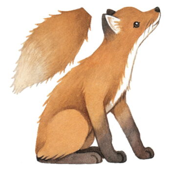 Detská samolepka 43,5x45 cm Vintage Fox – Lilipinso - Image 4