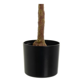 Umelý kvet Eucalyptus – Casa Selección - Image 4