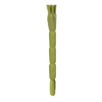 Umelá kvetina (výška 43 cm) Roses – Ixia – Obrázok 7