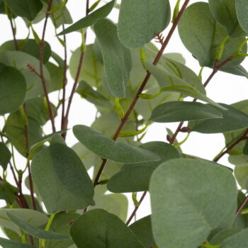 Umelý kvet Eucalyptus – Casa Selección - Image 3