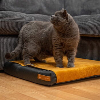 Žltý povlak na matrac pre psa 110x90 cm Ori XXL – Rexproduct – Obrázok 4