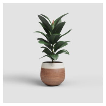 Keramický ručne vyrobený kvetináč ø 20 cm Antheia – Artevasi – Obrázok 2