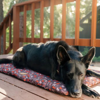 Hnedý cestovný pelech pre psa 45x60 cm Outdoor Chill Pad Mocha S – P.L.A.Y. - Image 3