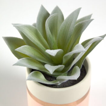 Umelá rastlina (výška  14 cm) Agave – Kave Home - Image 2