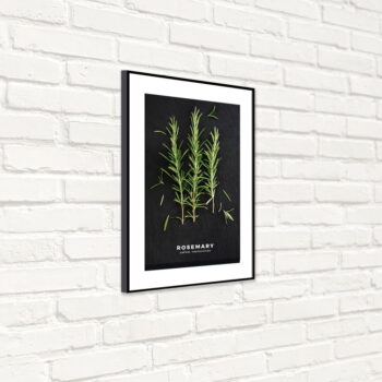 Plagát v ráme 50x70 cm Rosemary - Styler - Image 5