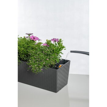 Hrantík 50 cm Supreme – Flower Lover - Image 10