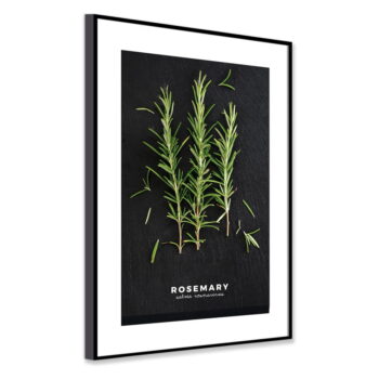 Plagát v ráme 50x70 cm Rosemary - Styler - Image 4