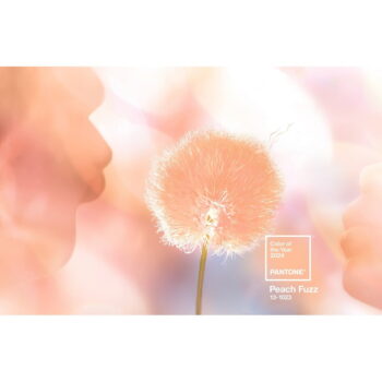 Oranžové pútko na kľúče Peach Fuzz 13-1023 – Pantone - Image 2