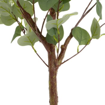 Umelý kvet Eucalyptus – Casa Selección - Image 2